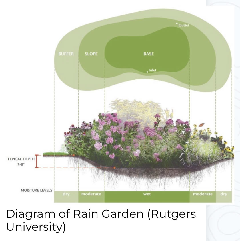 rain-garden-diagram-foghp